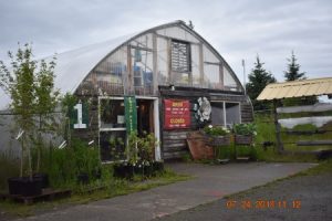 Homer Homestead